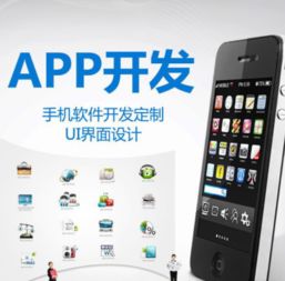 海口零基礎(chǔ)軟件開發(fā)課程培訓 開啟你的編程生涯